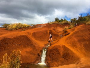 Waimea Canyon State Park, Kauai Hawaii